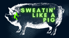 Sweatin' Like A Pig